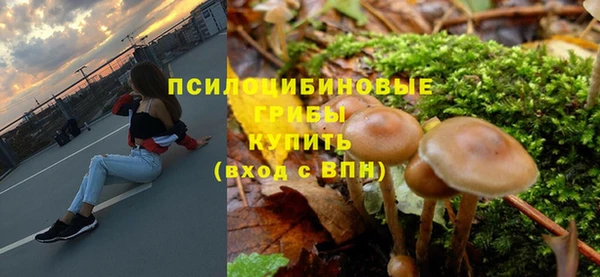 ALPHA PVP Арсеньев