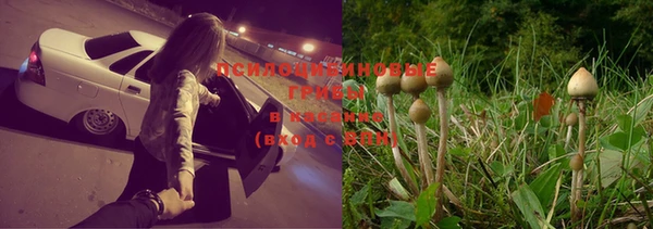 спайс Баксан