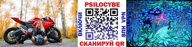 Купить закладки  Ивангород  Псилоцибиновые грибы MAGIC MUSHROOMS 